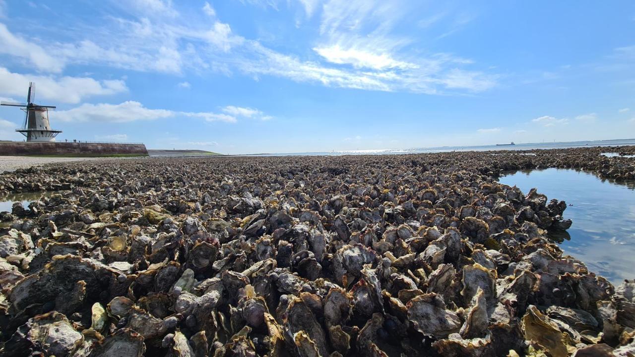 Rijksmonument Havenzicht, Met Zeezicht, Ligging Direct Aan Zee En Centrum Флиссинген Экстерьер фото
